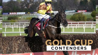 2023 BOODLES CHELTENHAM GOLD CUP CONTENDERS [upl. by Rodd]