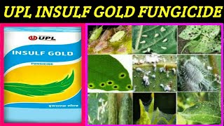 UPL Insulf Gold Fungicide  Sulphur 80  Isulfgold fungicide price dose work result [upl. by Meuse]