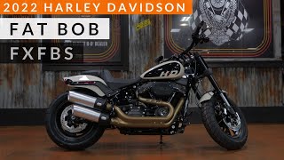 Harleys LAST CHANCE to Impress Me Fat Bob Review [upl. by Tiffy8]