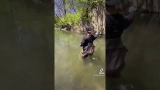 Creek carp fly fishing [upl. by Enawtna]