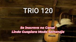 TRIO 120  MODÃO  DISCO COMPLETO [upl. by Krm]