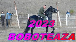 BOBOTEAZA 2023 LA FETESTI CAI SI CALARETI TRADITIA MERGE MAI DEPARTE [upl. by Bueschel]