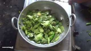 Beerakaya Thokku Pachadi  Ridge Gourd Peel Chutney in Telugu బీరకాయ తొక్కు పచ్చడి [upl. by Atnahc920]