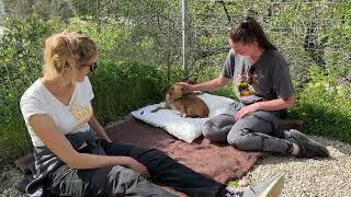 The Rescued New Mother And Her Puppy Are So Happy Now  Takis Shelter [upl. by Phylys]