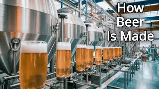 How BEER is Made Inside a BEER Factory [upl. by Enegue]