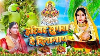 छठ पूजा व्रत गीत  चढ़ते कतिकवा सुरुज बाबा sunita lokgeet Paramparik Chhath Vrat Geet [upl. by Zosema]