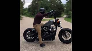 Harley Forty Eight [upl. by Amity694]