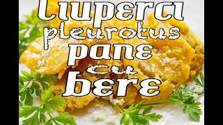 Reteta ciuperci pleurotus pane cu bere fara ou  Bucataria lui Radu [upl. by Enelez]