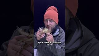 Yengeç videosu izle [upl. by Feinstein]