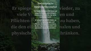 Seelensprache Bandscheibenvorfall rückenentlastung heiledichselbst energiemedizin Loslassen [upl. by Rehtaeh]