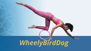 WheelyBirdDog [upl. by Heyward]