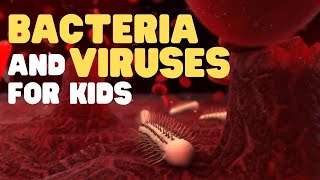 Bacteria and Viruses for Kids  Learn about these two kinds of microorganisms [upl. by Bikales]