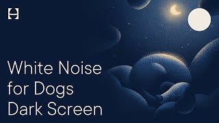 White Noise for Dogs amp Pets During Fireworks Calm Relax Sleep Reduce Anxiety  10 Hours No Ads [upl. by Ydnahs]