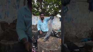 Amazing fish cutting style in tamil [upl. by Ahsitil]