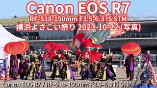 写真 横浜よさこい祭り 20231022 Canon EOS R7で撮影 [upl. by Gregson]