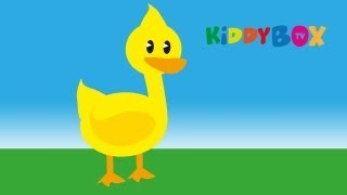 Alle meine Entchen  Kinderlieder KIDDYBOXTV [upl. by Hsoj]