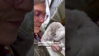 This French Lop doe is totally the boss Not me 😳😂 [upl. by Arrol]