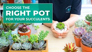 SUCCULENT BEGINNER TIPS WHY POT SIZE AND POT MATERIAL ARE IMPORTANT IN GROWING SUCCULENTS [upl. by Adnwahsar]