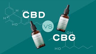 CBD vs CBG Comparative Insights into Cannabinoid Diversity [upl. by Hallsy821]