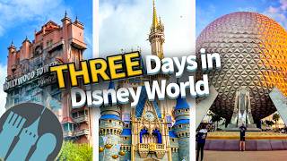 The ULTIMATE 3 Day Disney World Trip Itinerary [upl. by Aissatan24]