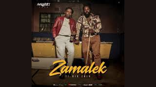 Mnqobi Yazo Zamalek ft Big Zulu [upl. by Ecilahc239]