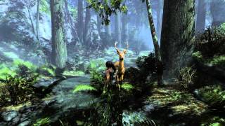 Tomb Raider Coastal Forest  Ghost Hunter Challenge [upl. by Silsbye]