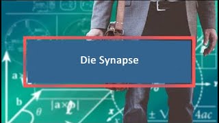 Die Synapse [upl. by Ted558]