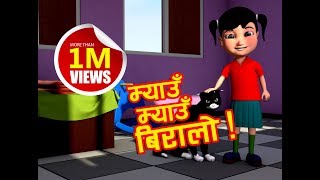 quotMyau Myau Biraloquot quotMeow Meow Biraloquot  Famous Nepali Children Rhyme Song [upl. by Hahsia]