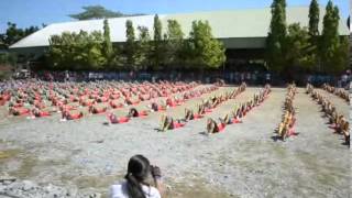 CHAMPION  Grade 8 DMNHS Field Demonstration 2014 Part 1 [upl. by Ynaffets]