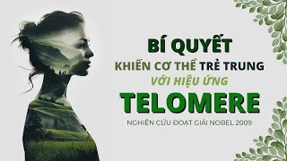 Bí quyết khiến cơ thể trẻ trung với Hiệu ứng Telomere  Nghiên cứu đoạt giải Nobel 2009 [upl. by Mariellen]