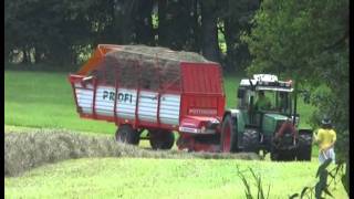 Urlaub auf dem Bauernhof Ein Erlebnistag auf dem Schorer Hof [upl. by Brod]