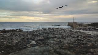 Evening Surf at the harbour ASMR 4K [upl. by Lenore]