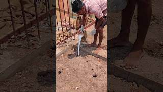 ANTI TERMITE TREATMENT OF OUR CONSTRUCTION SITE [upl. by Nickolas]