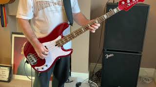 Identity X Ray Spex Brief Bass Guitar Lesson And Cover By The Bass Punk [upl. by Virgin55]