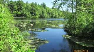 STONY BROOK WILDLIFE SANCTUARY NORFOLK MASSACHUSETTS [upl. by Doyle199]