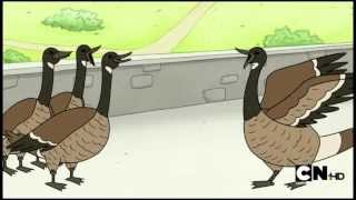 Regular Show  Terrorizing Geese [upl. by Daj]