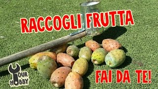 RACCOGLI FICHI DINDIA E ALTRI FRUTTI [upl. by Ytirahc]