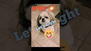 WWF time to trouble dogsfunnyvideos catsofinstagram catshortswwe wwf [upl. by Peyton]