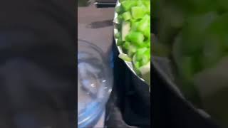 Blanching celery to freeze it  Week 1 everybitcountschallenge bitcountschallenge  short [upl. by Devine584]