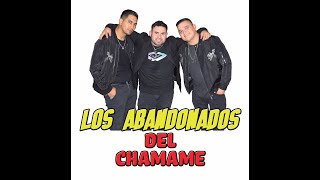 LOS ABANDONADOS DEL CHAMAME  EN VIVO  ADELANTO DE LO QUE SE VIENEEEE Sonido MIGUEL GODOYDEEJAY [upl. by Enitsed]