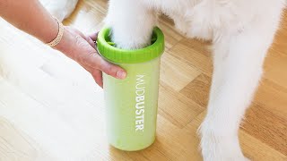 Dexas  MudBuster® Silicone Dog Paw Cleaner [upl. by Anelrad833]