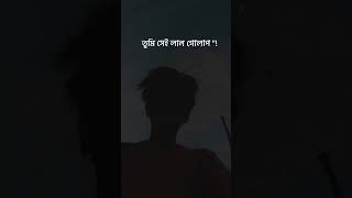 Srotoshini Lyrics Lofi 🖤🦋  ENCORE  Lyrics  স্রোতস্বিনী ✨ fypシ lyrics music hitsong [upl. by Yves]