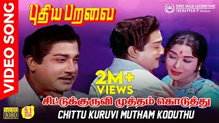 Chittu Kuruvi Mutham Koduthu  HD 51 AUDIO  Sivaji Ganesan   P Susheela  Kannadasan  MSV [upl. by Eiramrefinnej926]