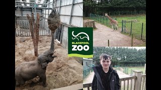 Blackpool Zoo Vlog September 2024 [upl. by Etnoj]