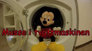 Mickey Mouse in washing machine [upl. by Gonzales125]