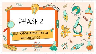 Phase 2 reaction of biotransformation of xenobiotics youtube toxicology msc bpharma [upl. by Gnuj]