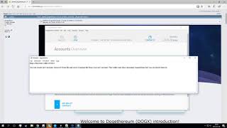 Dogethernum DOGX wallet Windows Wallet Review 🦆🦆🦆 [upl. by Sad774]