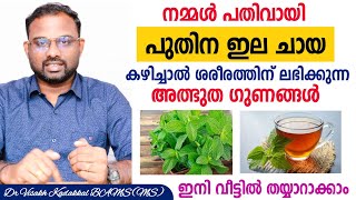 പുതിന ചായ  Mint Tea health Benefits  പതിവായി കഴിച്ചാൽ ലഭിക്കുന്ന അത്ഭുത [upl. by Sydalg833]