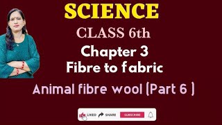 Class 6th l Science l chapter 3 l Fibre to fabric l Topic Animal fibre Wool Part 6 l [upl. by Lapointe]