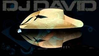 zapateado calentano mixdj davidmp4 [upl. by Idalla493]